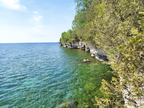 A serene shoreline with clear blue water, rocky edges, and lush greenery under a bright sky.